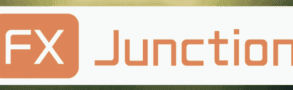 FX Junction logo