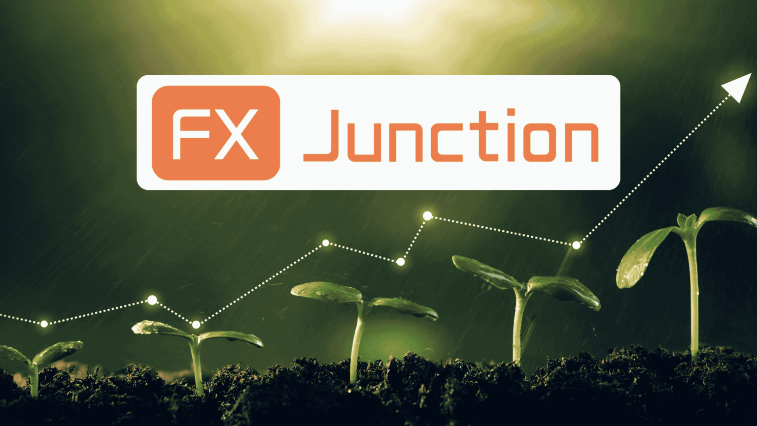 FX Juntion